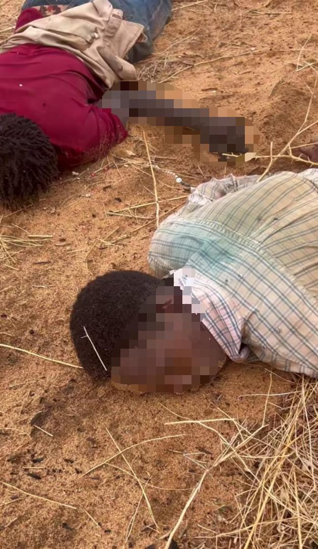 Troops kill terrorists, destroy Boko Haram/ISWAP camp in Adamawa