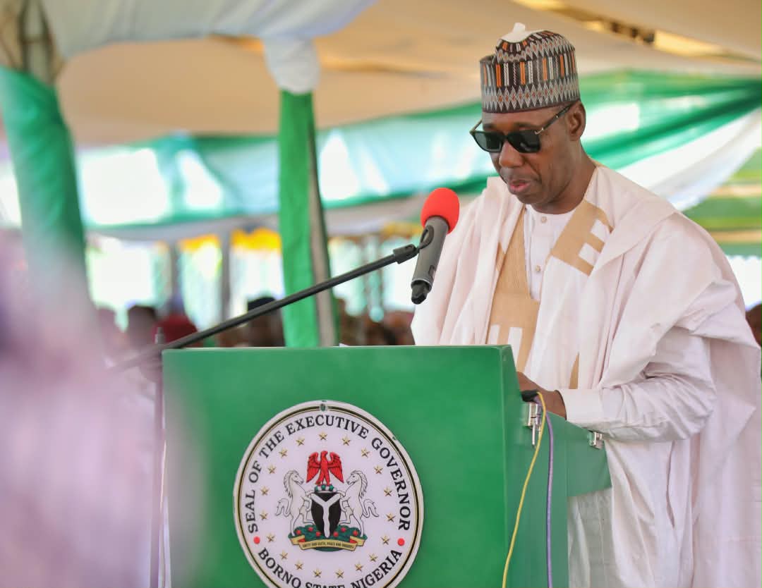 Zulum opens flyover bridge, road projects, 2 schools in Maiduguri