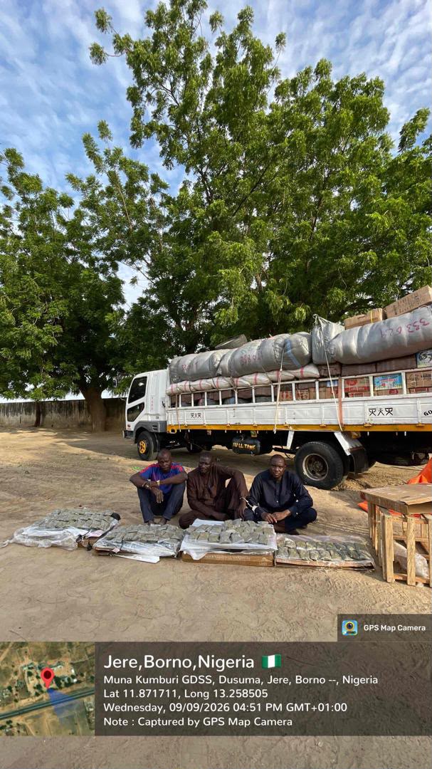 Troops arrest three suspected drug peddlers, recover 92 parcels of Colorado in Borno