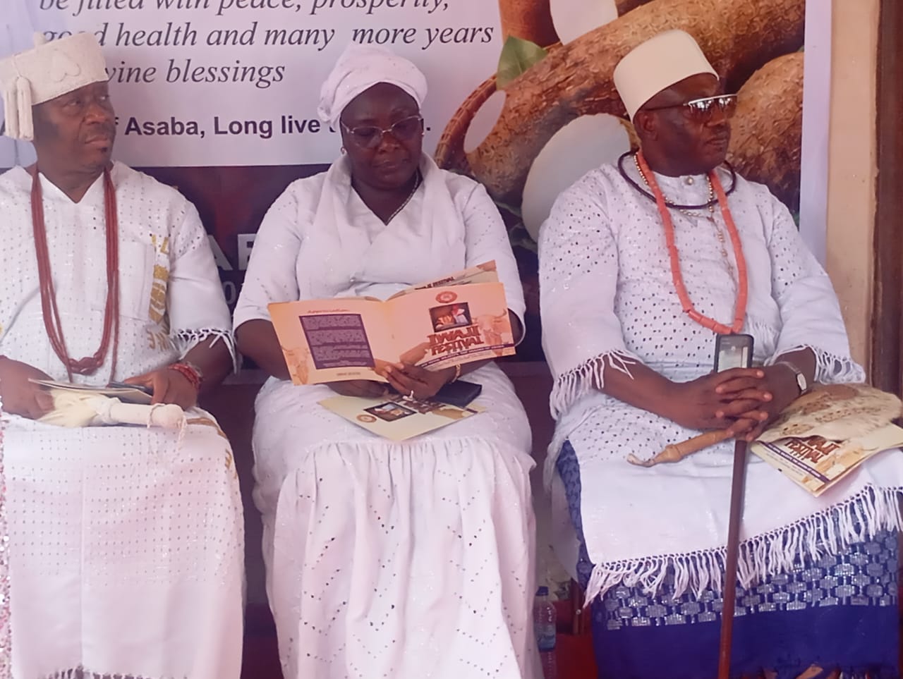 2027: Elumelu rallies Asaba traditional leaders for APC victory

