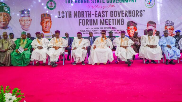 Zulum commends Tinubu for reviving Kolmani oil exploration, urges Borno’s oil field work revived