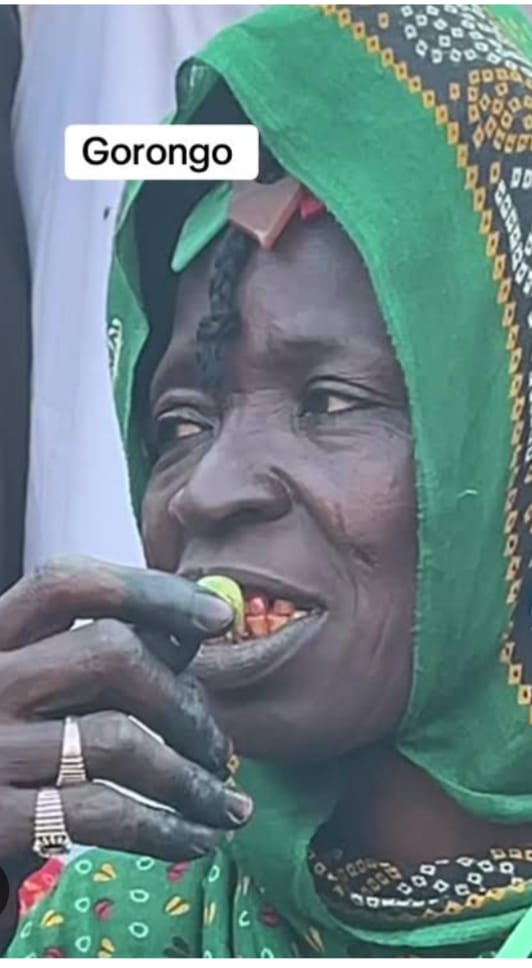 The unique Nature of the Kanuri people (Kanuris and their uniqueness) 