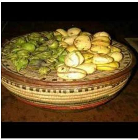 The unique Nature of the Kanuri people (Kanuris and their uniqueness) 