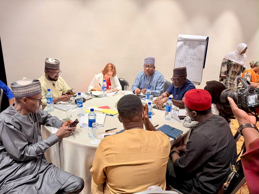 Borno Secures Nine Investment Deals for IDPs, Returnees
