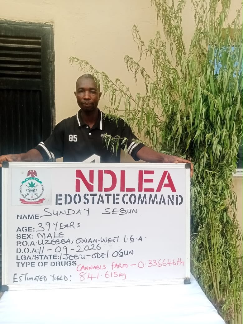 EDO NDLEA ARRESTS 42 SUSPECTS, WITH 9,520KG OF NARCOTICS 