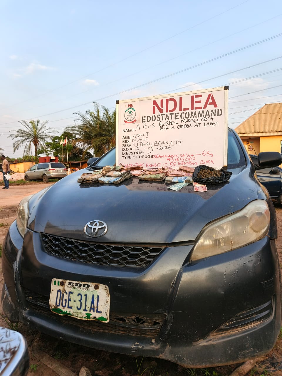 EDO NDLEA ARRESTS 42 SUSPECTS, WITH 9,520KG OF NARCOTICS 