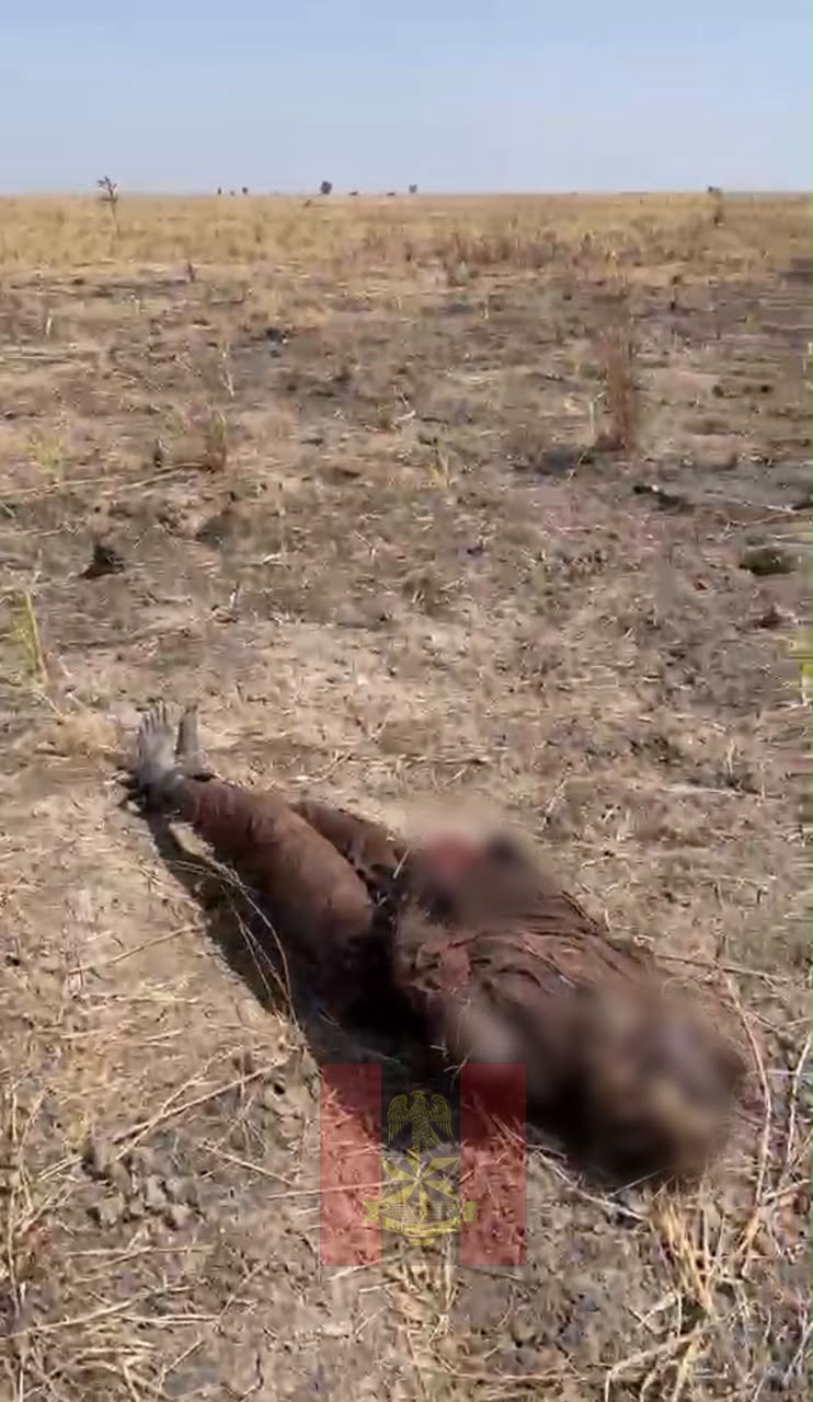 Troops Kill 15 Terroriists in Borno Airstrike